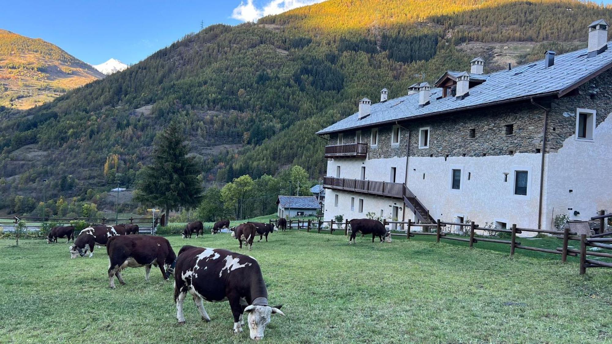 Maison Marcoz - Appartamenti Vacanze Etroubles Luaran gambar